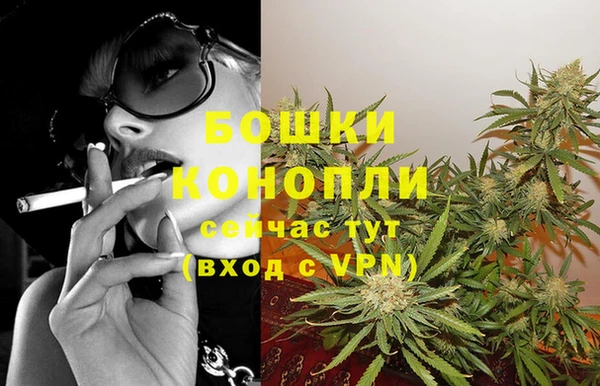 PSILOCYBIN Лихославль