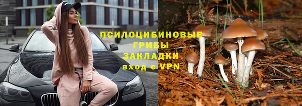 соль ск Липки