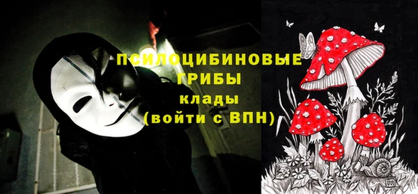 соль ск Липки