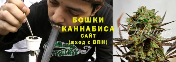 соль ск Липки