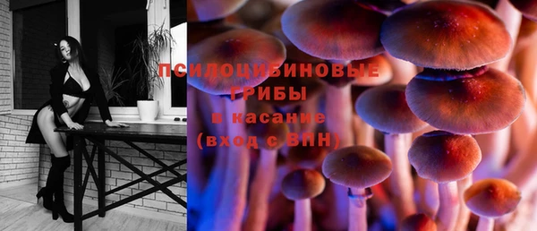 PSILOCYBIN Лихославль