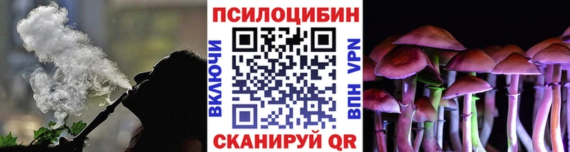 Псилоцибиновые грибы GOLDEN TEACHER  Купить закладки  Севастополь 